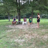 For Paws Of Ulster Dog Park ico