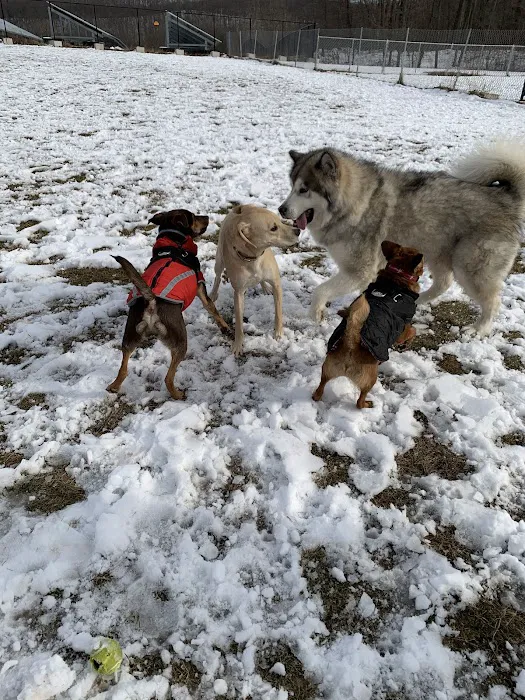 Cheshire Dog Park 6