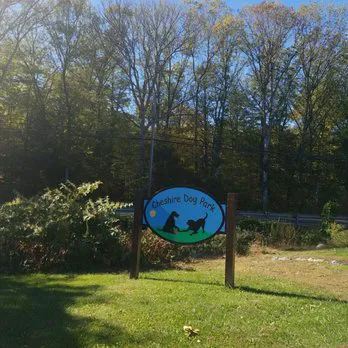 Cheshire Dog Park 5