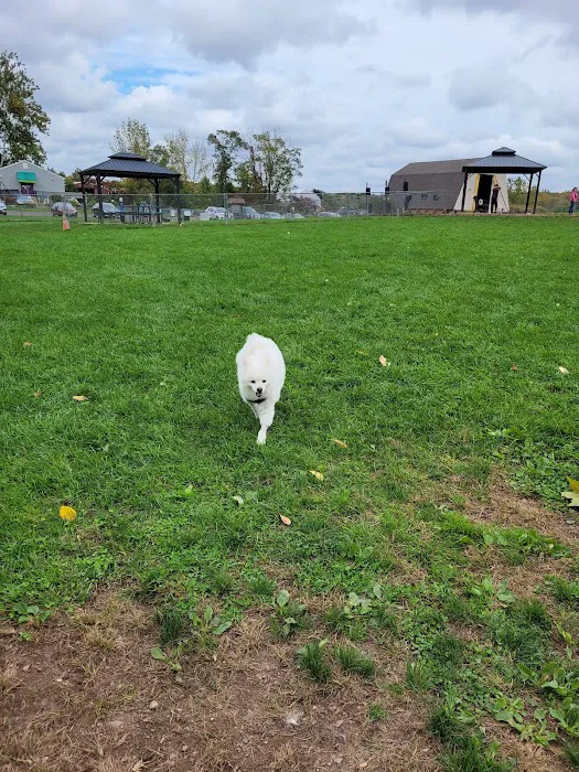 Cheshire Dog Park 2