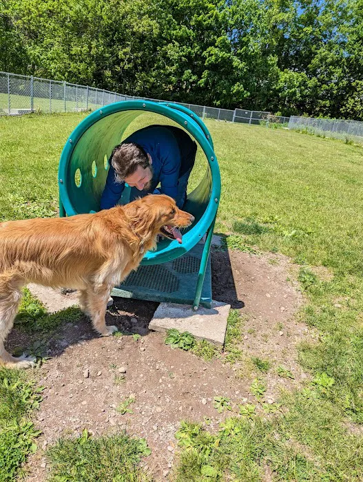 Cheshire Dog Park 9
