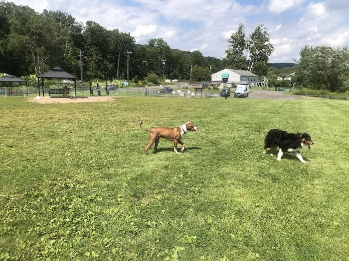 Cheshire Dog Park 4