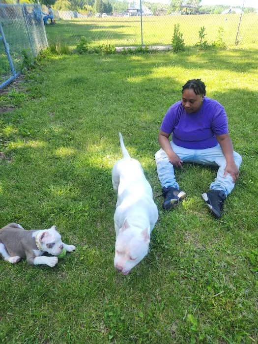 Cheshire Dog Park 7