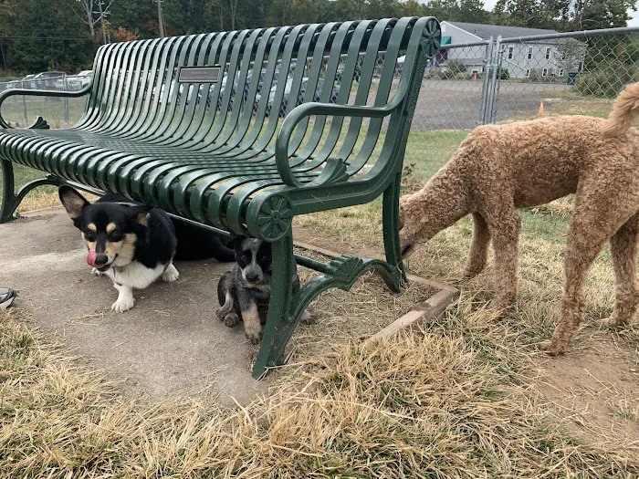 Cheshire Dog Park 10