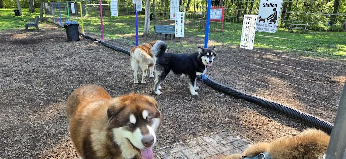 Wallingford Dog Park 6