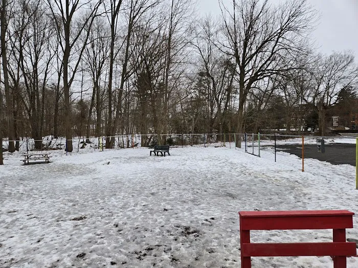 Wallingford Dog Park 4
