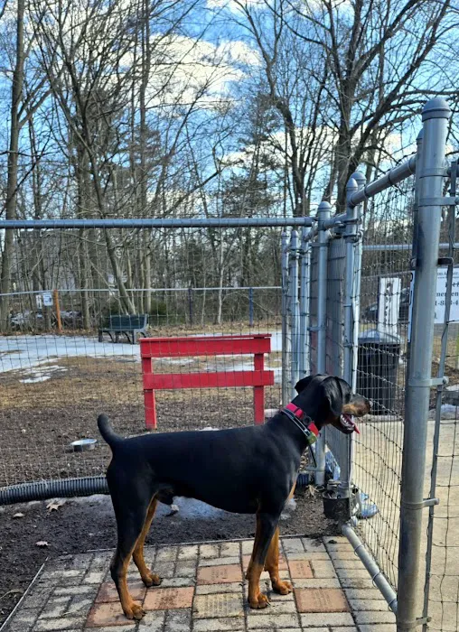 Wallingford Dog Park 7