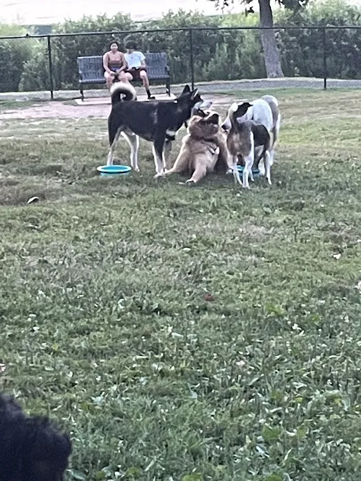 Meriden Dog Park 3