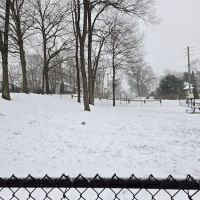 Meriden Dog Park ico