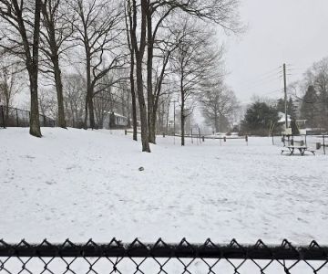 Meriden Dog Park