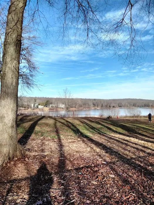 Meriden Dog Park 2