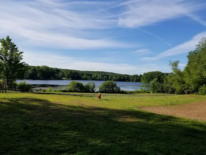 Meriden Dog Park 8