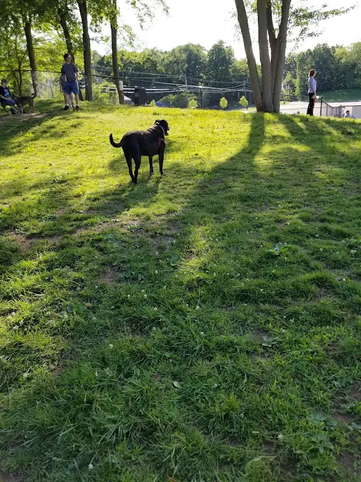 Meriden Dog Park 7