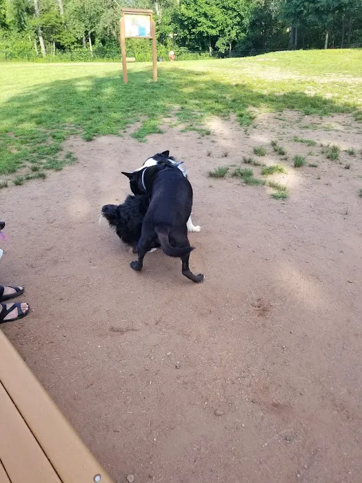 Meriden Dog Park 4