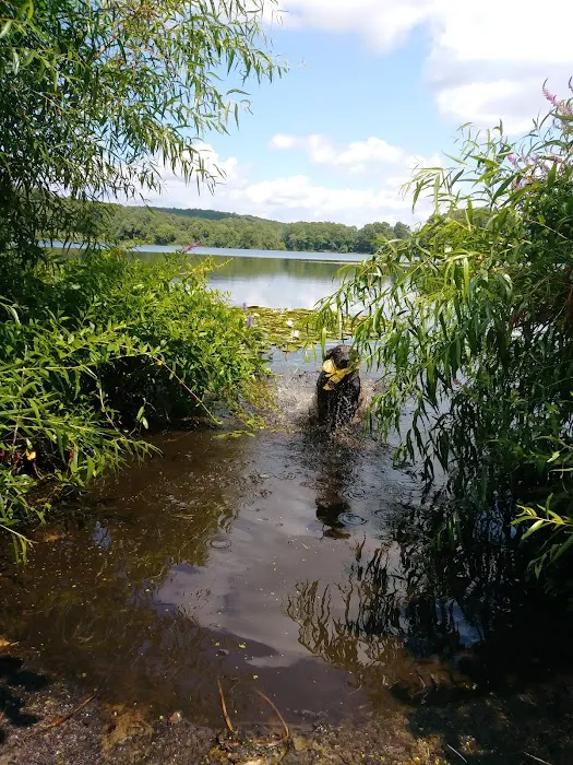Meriden Dog Park 9