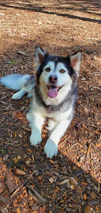 Friends of Canton Dog Park 1