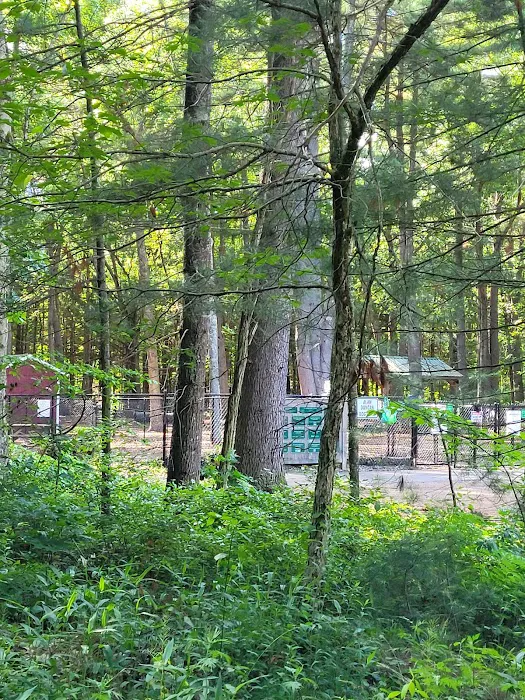 Friends of Canton Dog Park 4