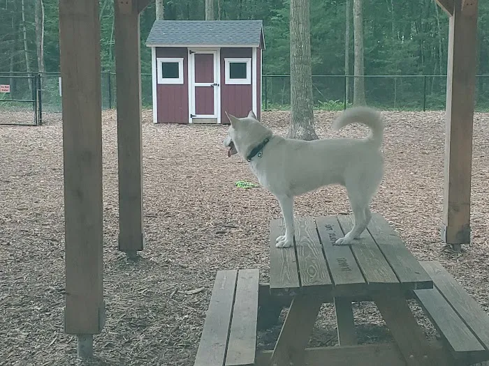 Friends of Canton Dog Park 3