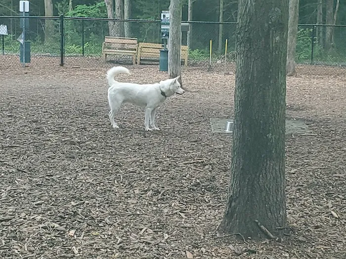 Friends of Canton Dog Park 5