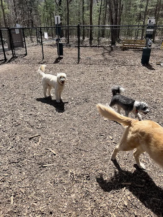Friends of Canton Dog Park 7