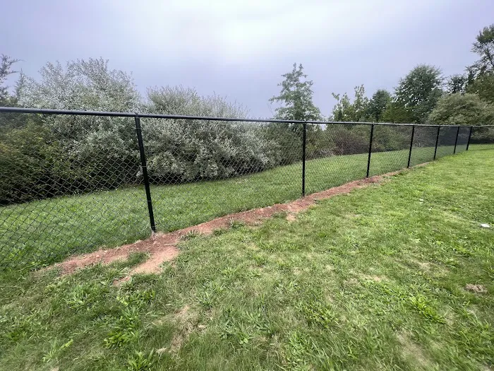 Berlin Dog Park (Leash Free Area) 9