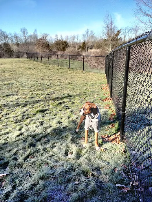 Berlin Dog Park (Leash Free Area) 1