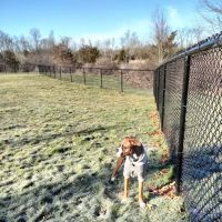 Berlin Dog Park (Leash Free Area) ico
