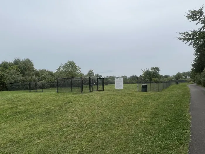 Berlin Dog Park (Leash Free Area) 6