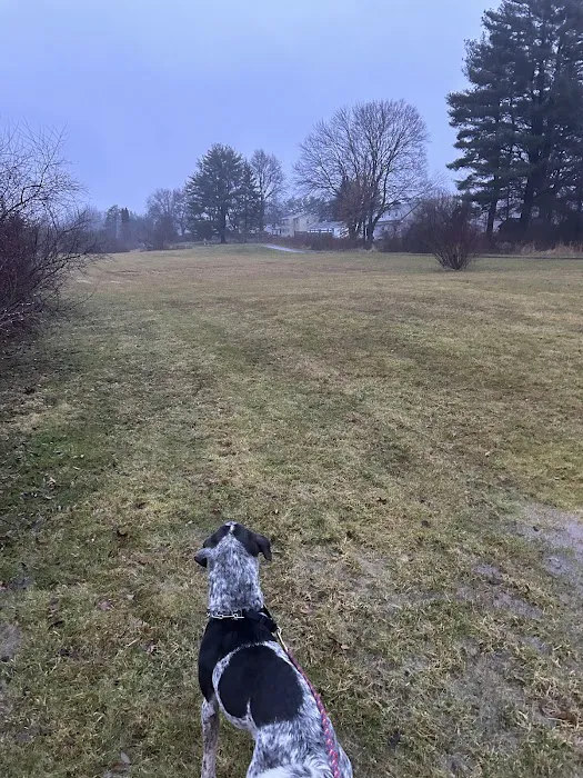 Berlin Dog Park (Leash Free Area) 8