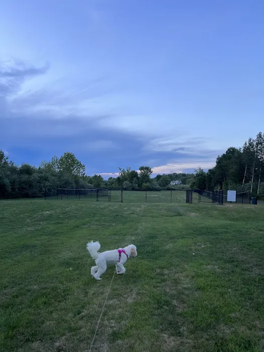 Berlin Dog Park (Leash Free Area) 4
