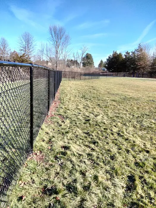 Berlin Dog Park (Leash Free Area) 5