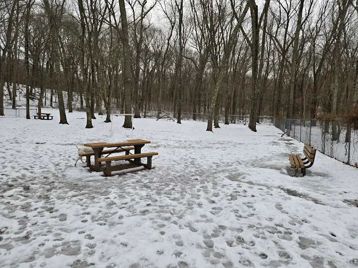 Paw Dog Park 2