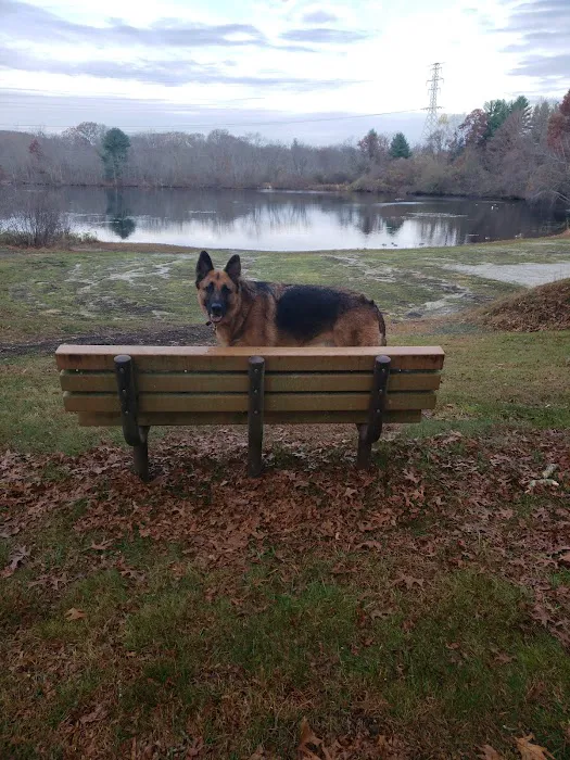 Paw Dog Park 9