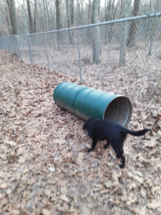 Paw Dog Park 4