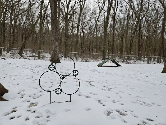 Paw Dog Park 7