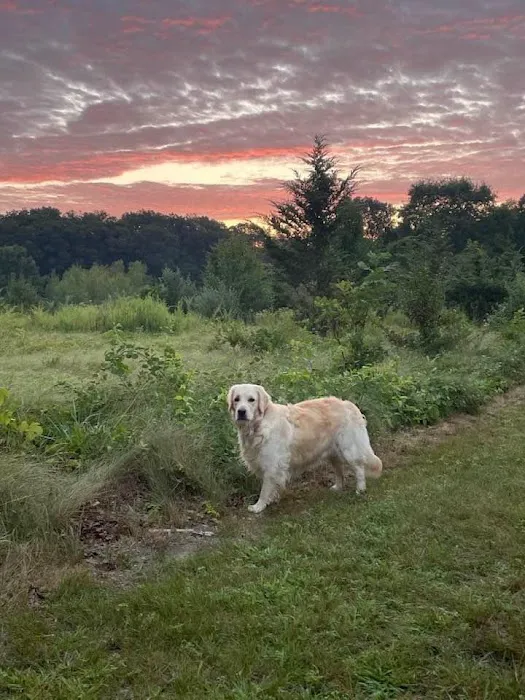 East Haddam Dog Park 3