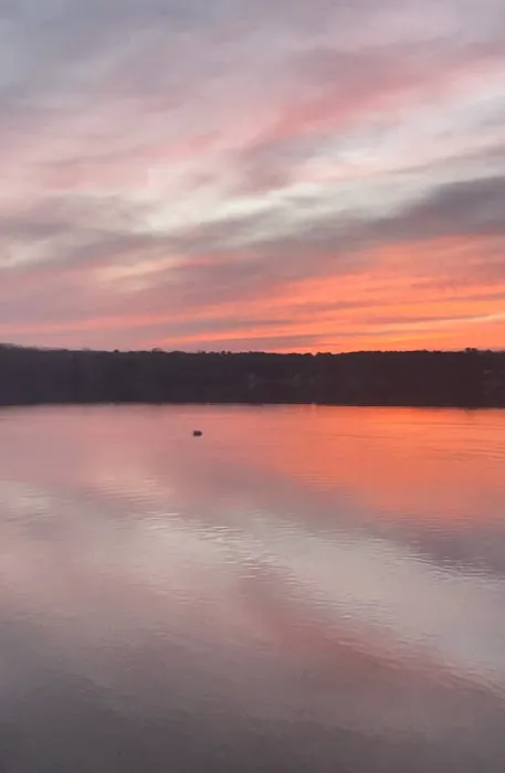 East Haddam Dog Park 4