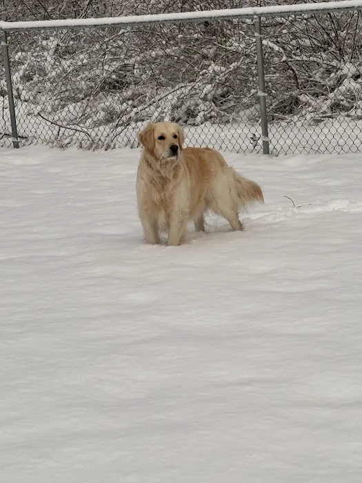 East Haddam Dog Park 1