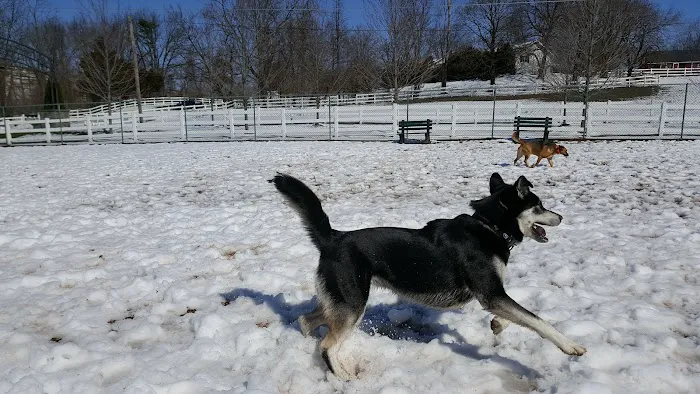 Danielle Ruiz-Murphy Center for Animal Welfare and Dog Park 4