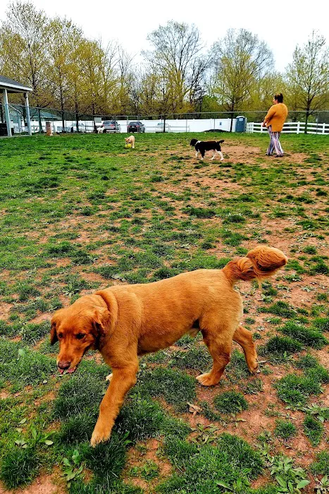 Danielle Ruiz-Murphy Center for Animal Welfare and Dog Park 5