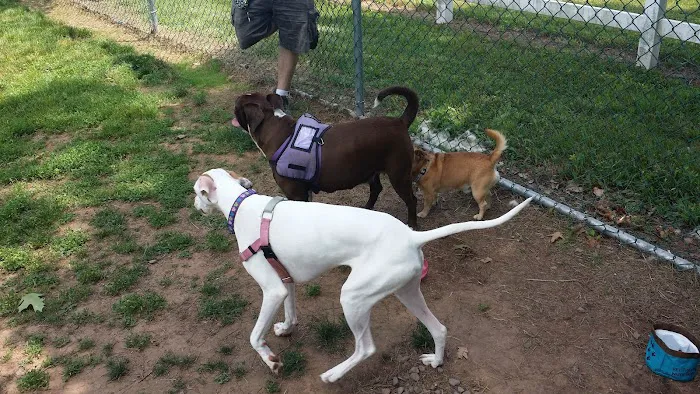 Danielle Ruiz-Murphy Center for Animal Welfare and Dog Park 10