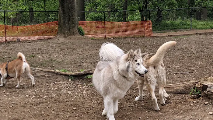 Haverford Reserve Dog Park 3