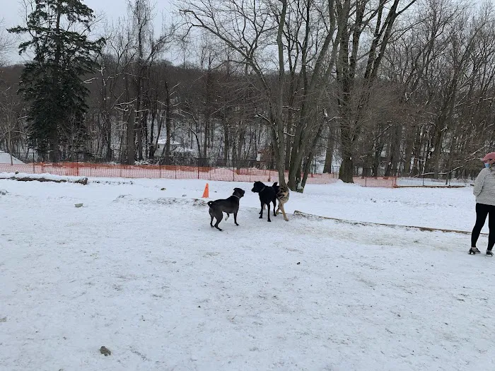 Haverford Reserve Dog Park 1
