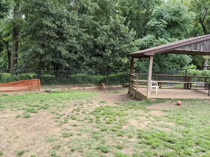 Haverford Reserve Dog Park 8