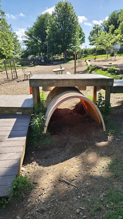Haverford Reserve Dog Park 2