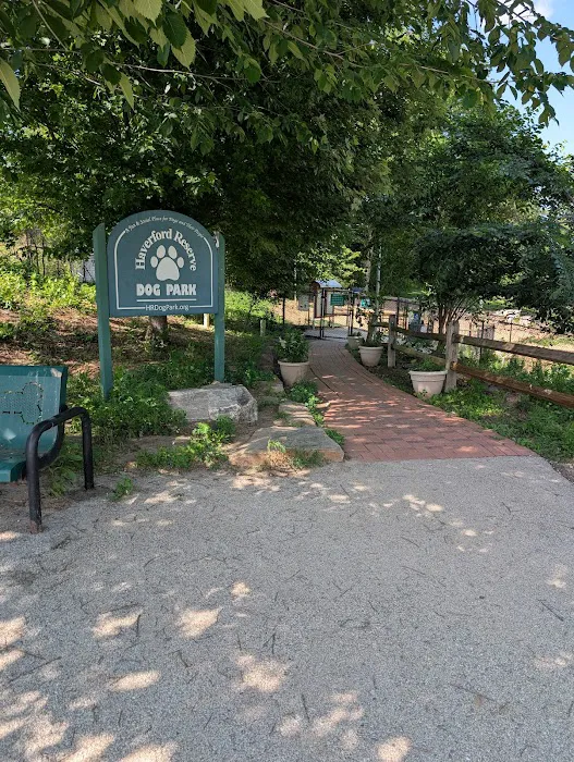 Haverford Reserve Dog Park 7