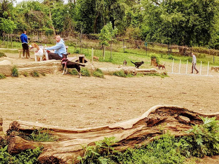 Haverford Reserve Dog Park 6
