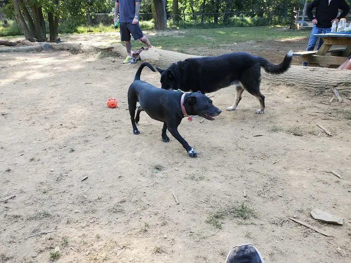 Haverford Reserve Dog Park 4