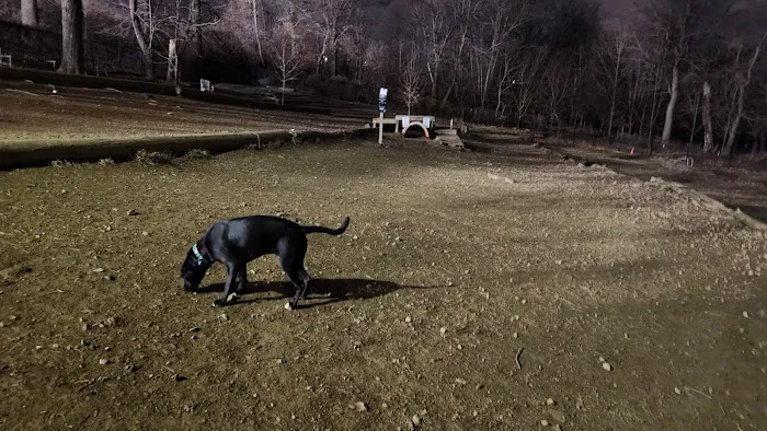 Haverford Reserve Dog Park 10