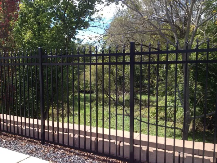 Kent Dog Park 8